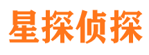 城子河市侦探